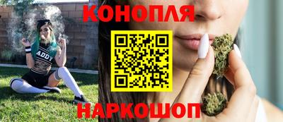 гашик Краснодар