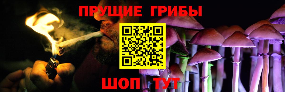 Галлюциногенные грибы мицелий  Псилоцибиновые грибы ЛСД  Елец  Вход с VPN 